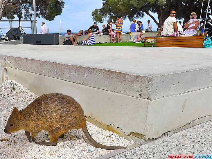 туризм и отдых