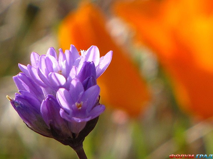 туризм и отдых