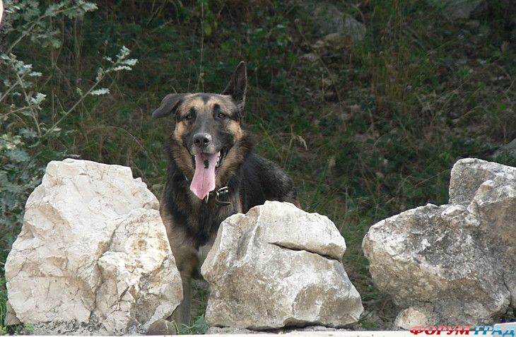 туризм и отдых