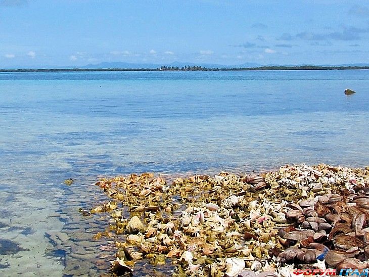 туризм и отдых