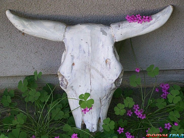 туризм и отдых