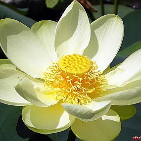 туризм и отдых