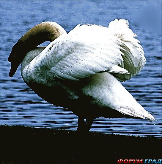 туризм и отдых