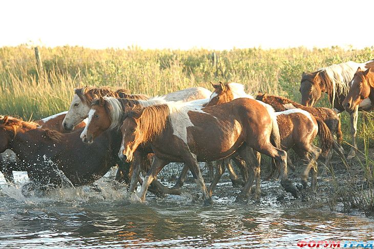 туризм и отдых