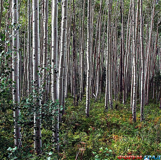 туризм и отдых