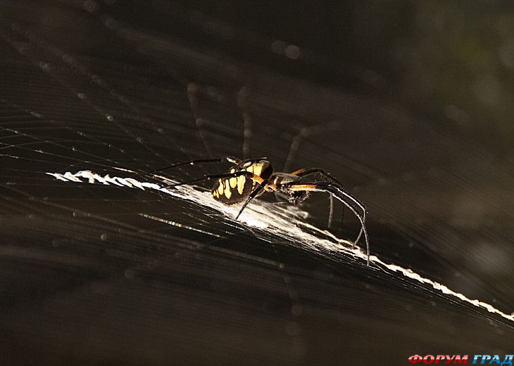 туризм и отдых