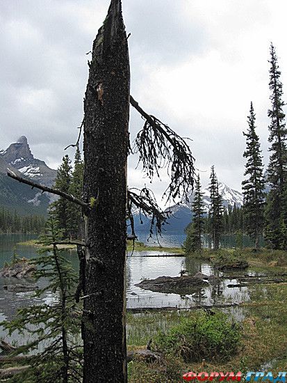 туризм и отдых