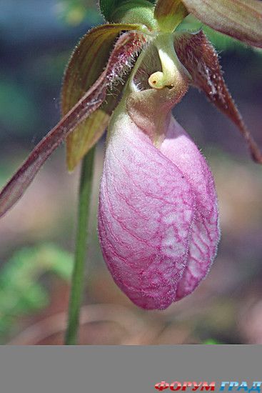 туризм и отдых