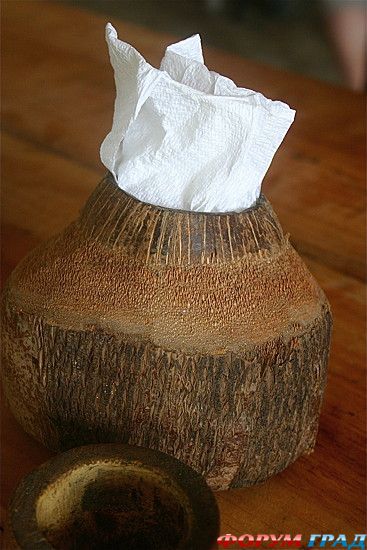 туризм и отдых