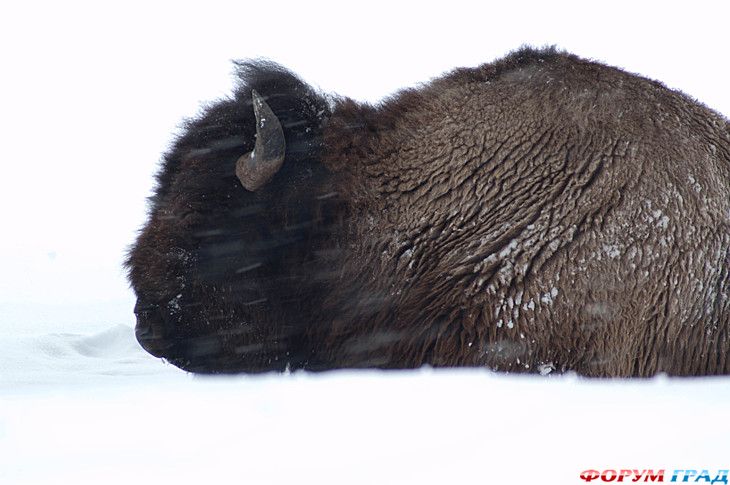 туризм и отдых