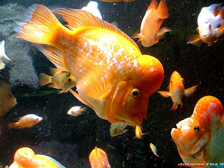 туризм и отдых