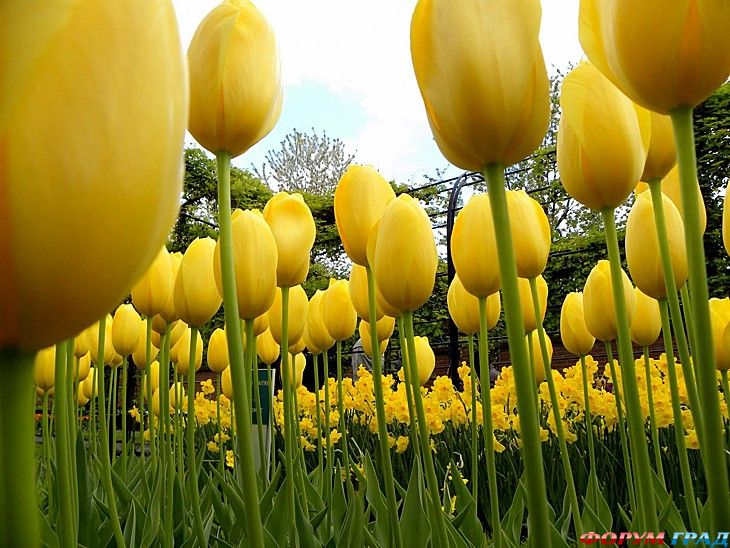 туризм и отдых