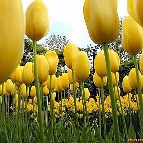 туризм и отдых