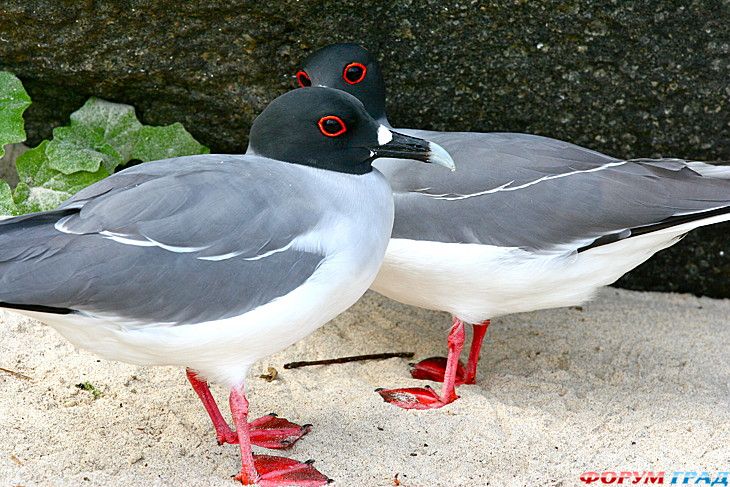 туризм и отдых