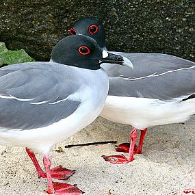 туризм и отдых