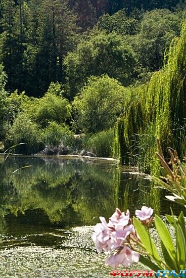 туризм и отдых