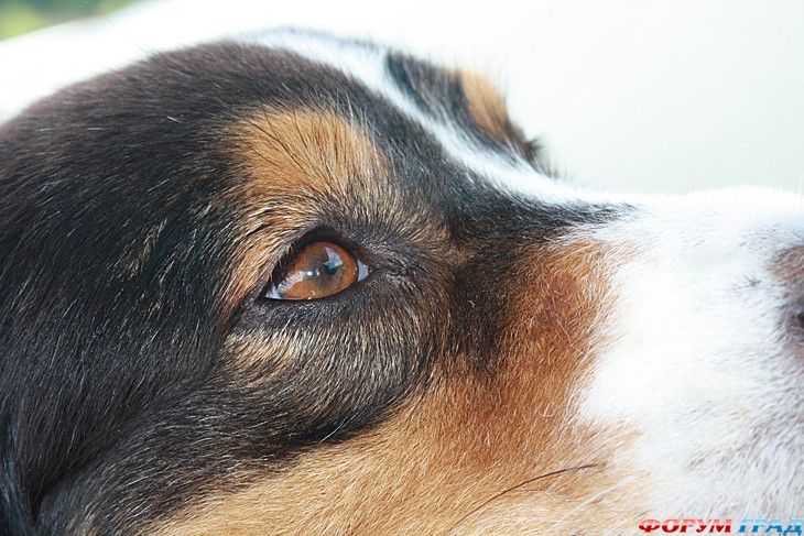 туризм и отдых