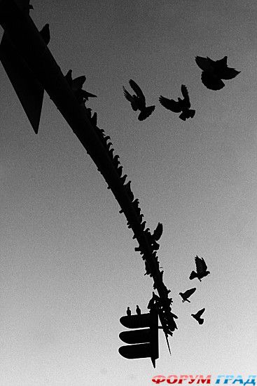 туризм и отдых