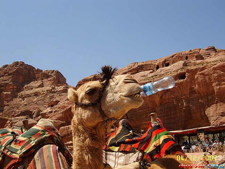 туризм и отдых