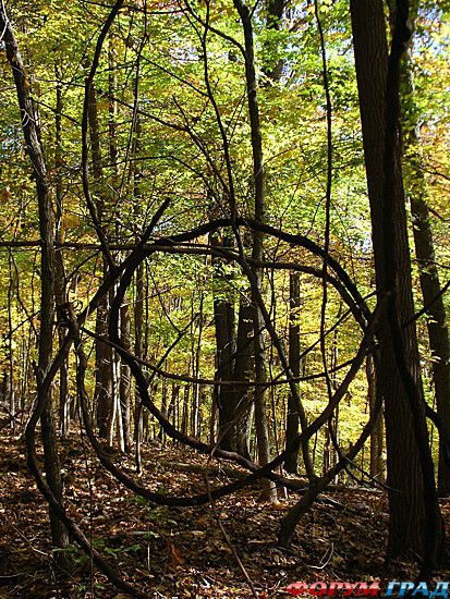 туризм и отдых