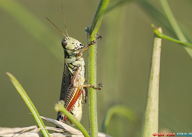 туризм и отдых