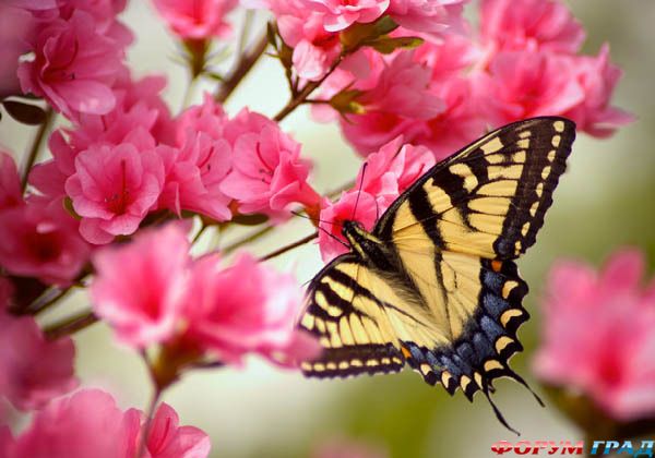 туризм и отдых