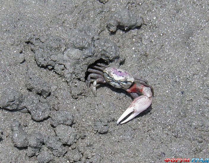 туризм и отдых