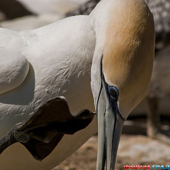 туризм и отдых