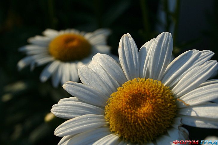 туризм и отдых