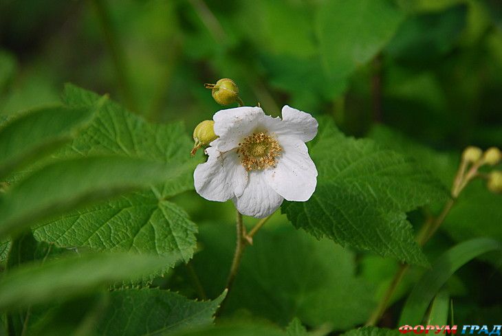 туризм и отдых