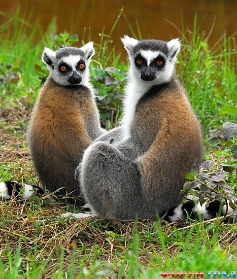 туризм и отдых