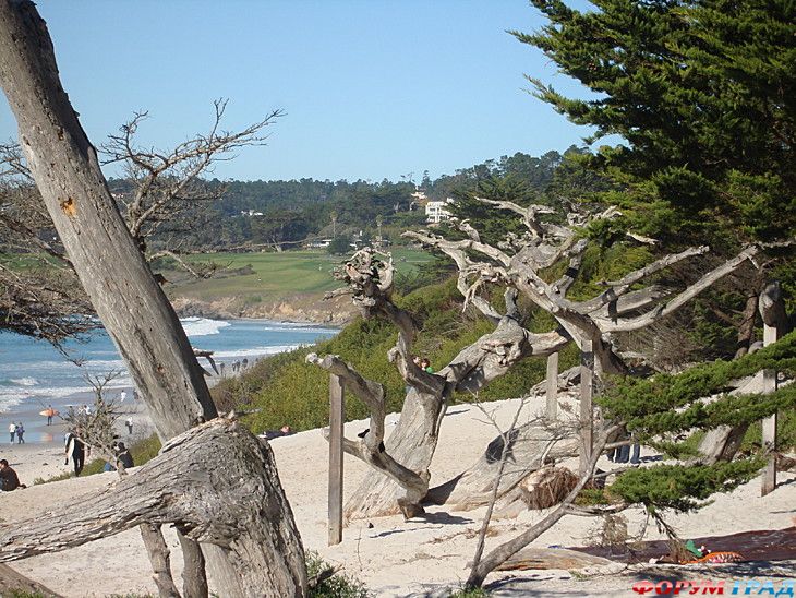 туризм и отдых