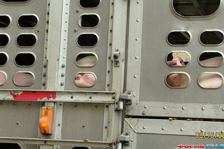 туризм и отдых