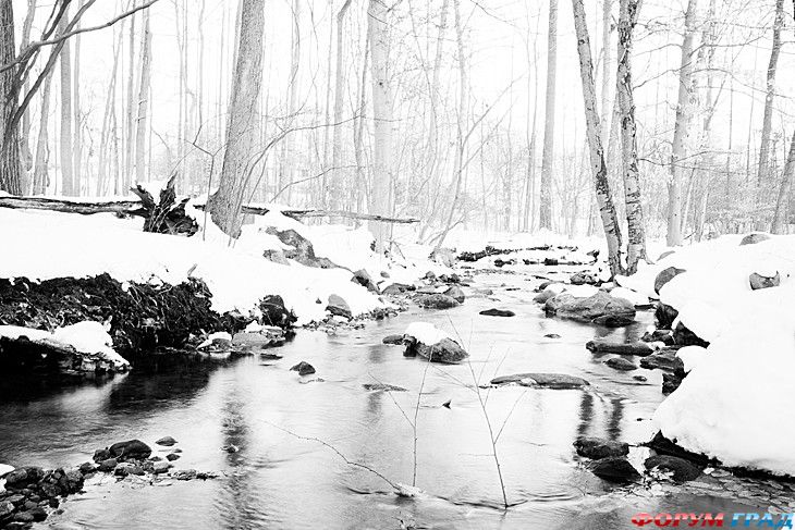 туризм и отдых