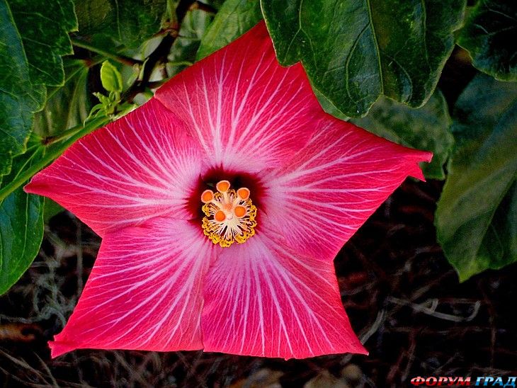 туризм и отдых