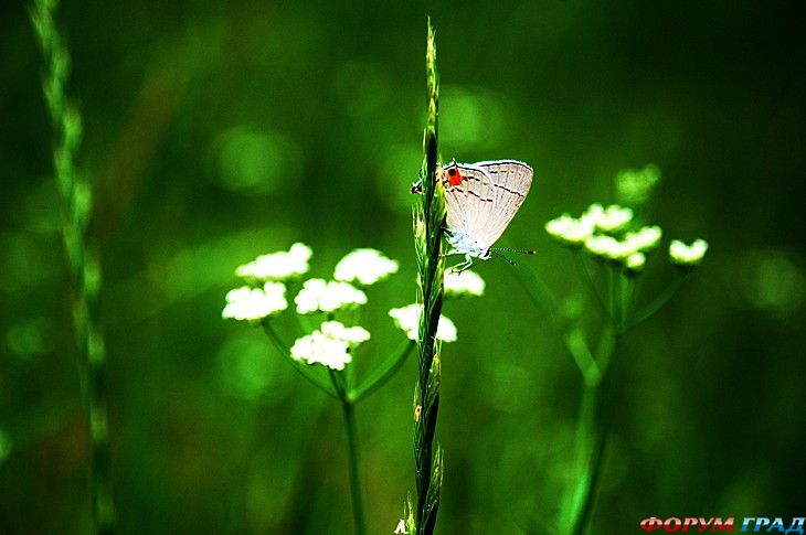 туризм и отдых