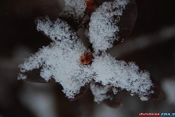 туризм и отдых