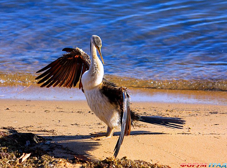 туризм и отдых