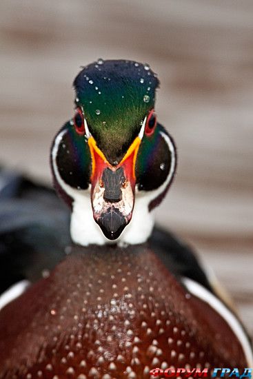 туризм и отдых