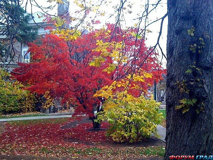 туризм и отдых