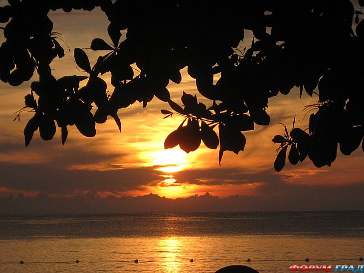 туризм и отдых