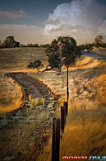 туризм и отдых