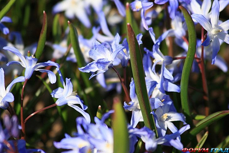 туризм и отдых