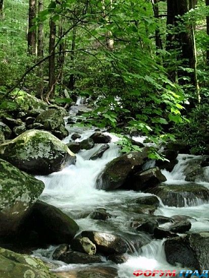 туризм и отдых