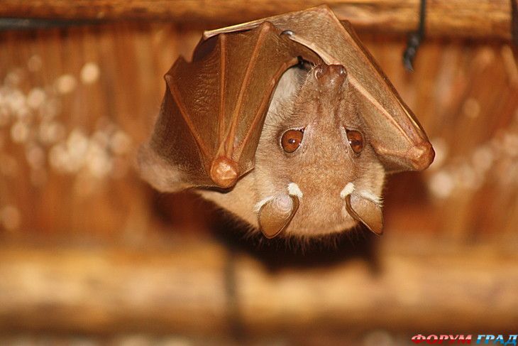 туризм и отдых