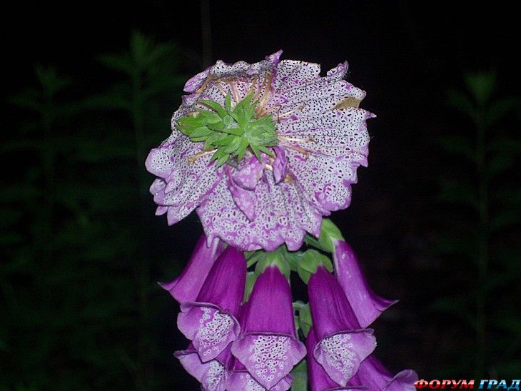 туризм и отдых