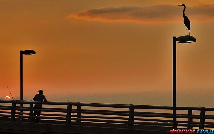 туризм и отдых