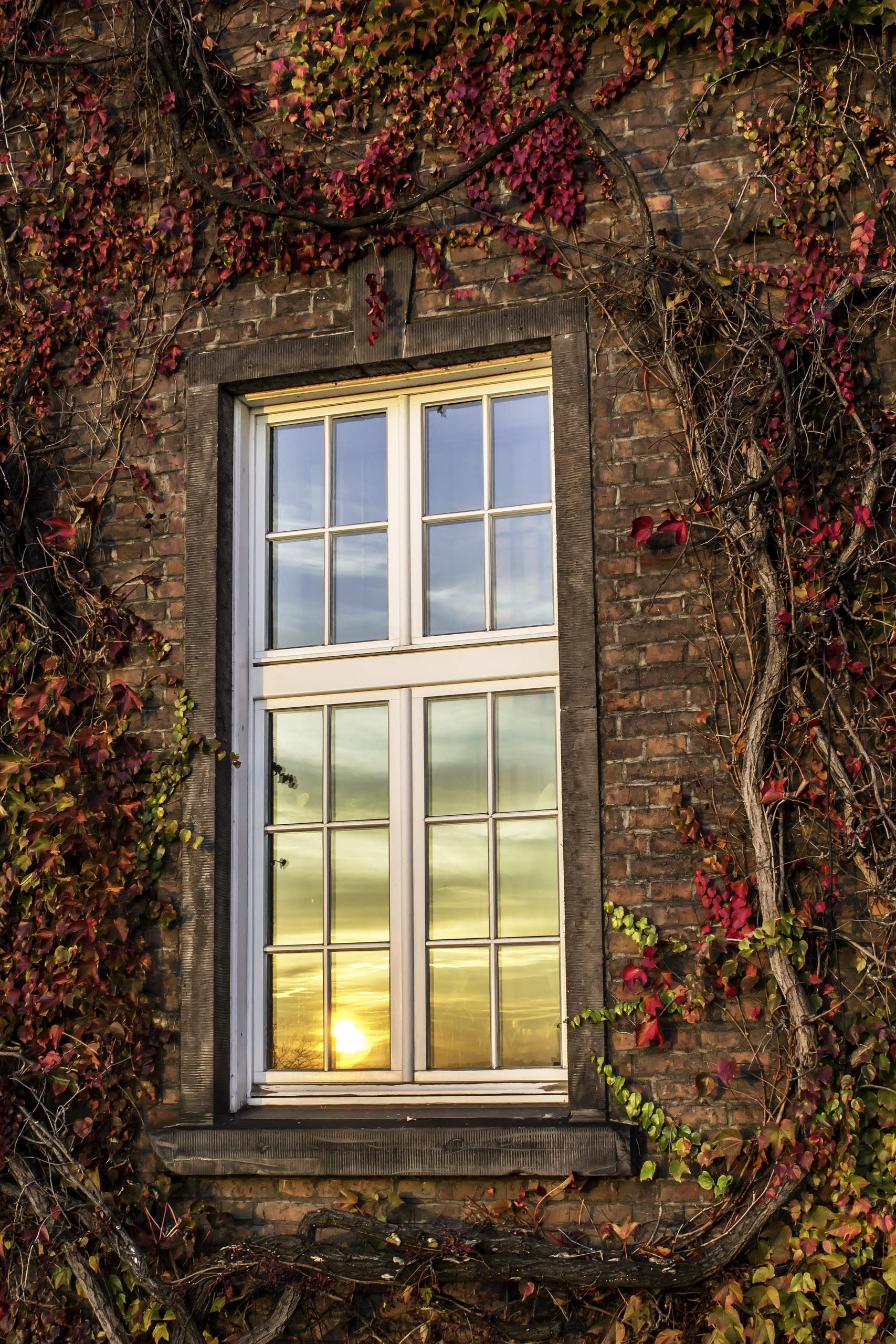 фотографии экстерьеров зданий и соружений