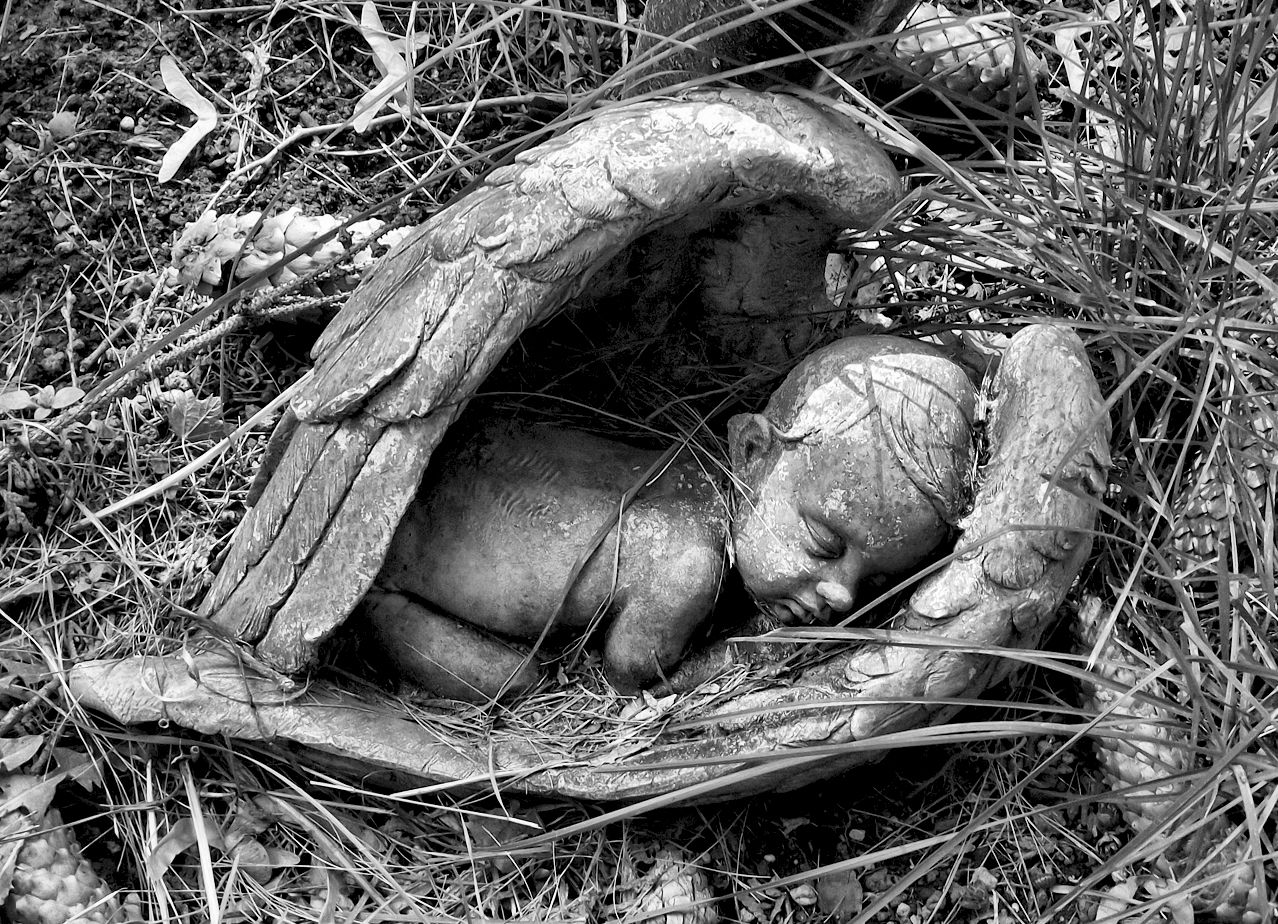фотографии памятников и монументов