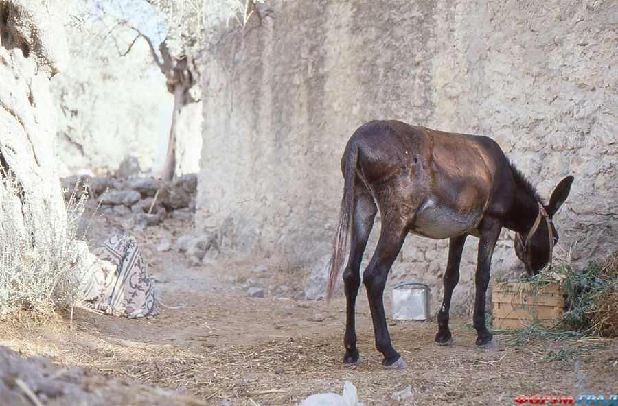 greece-travel-261